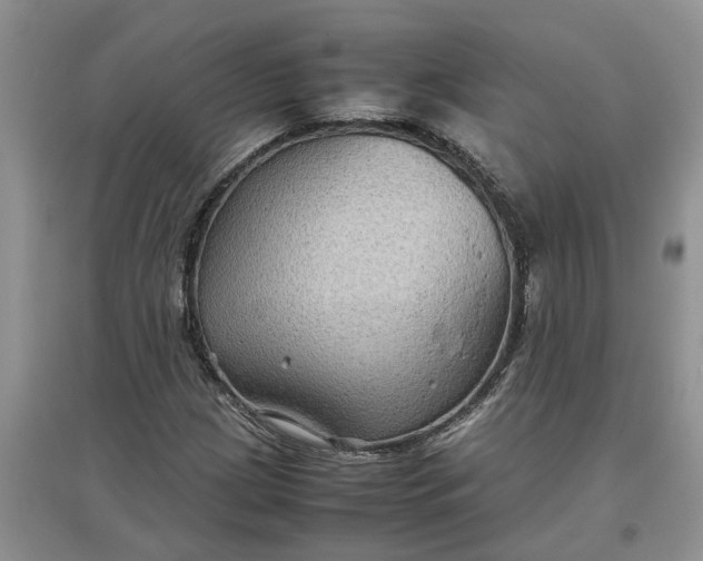 X0000097661209200803142124