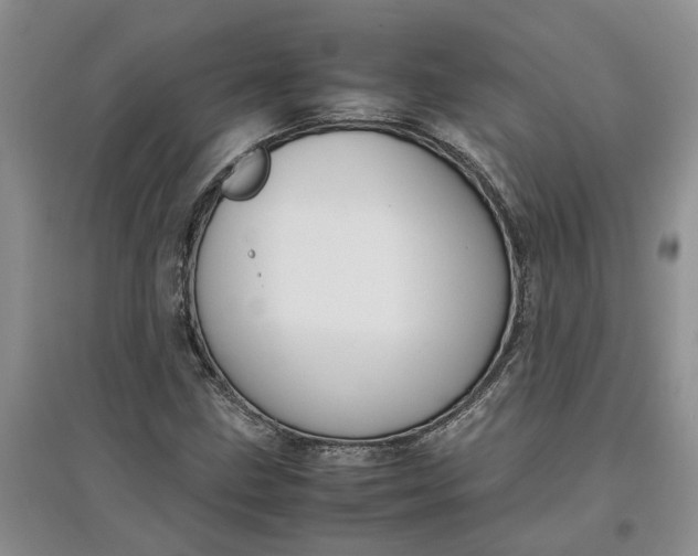 X0000097661211200803142124