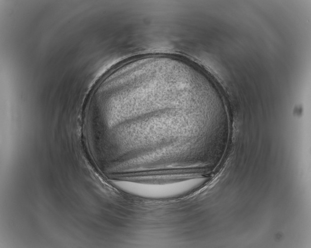 X0000097661212200803142124