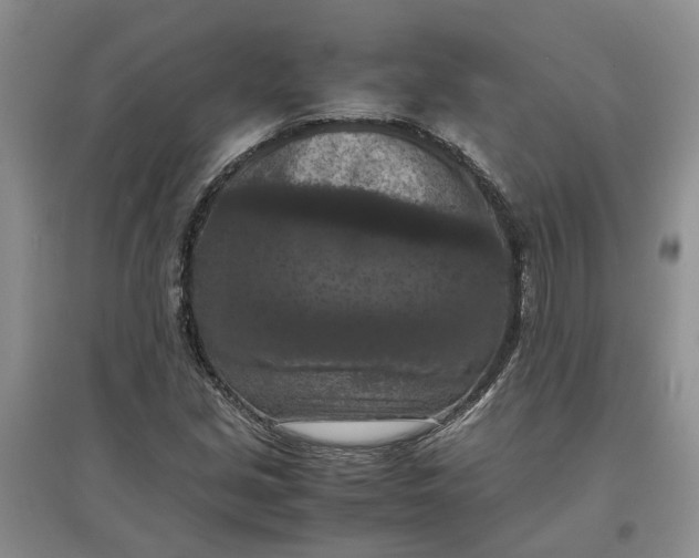 X0000097661213200803142124