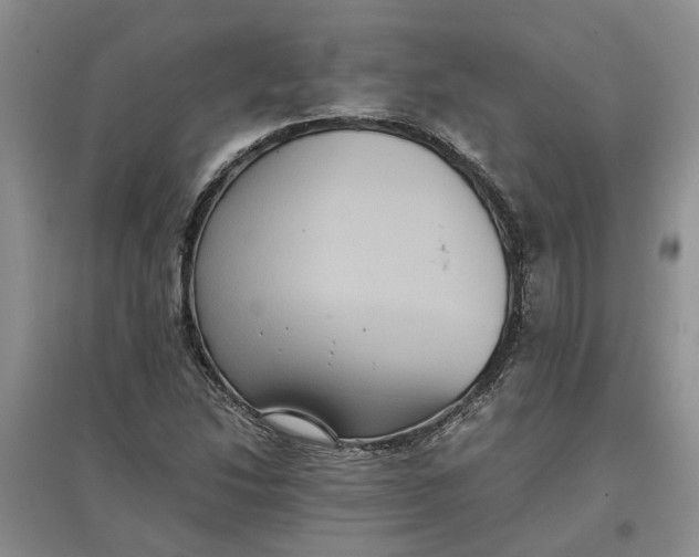 X0000097661214200803142124