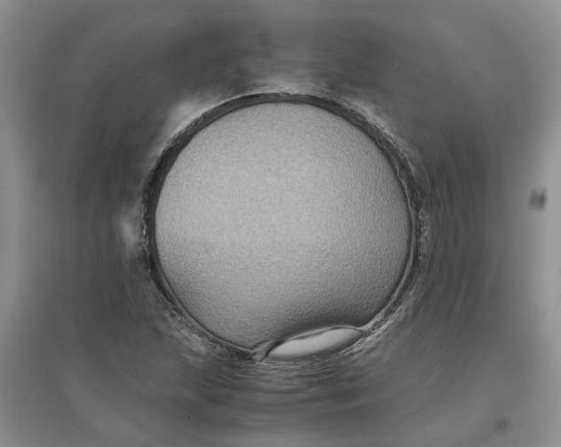 X0000097661215200803142124