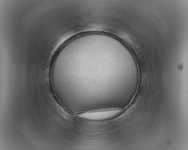X0000097661216200803142124