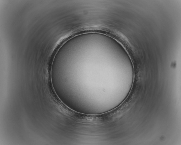 X0000097661218200803142124
