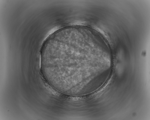 X0000097661219200803142124