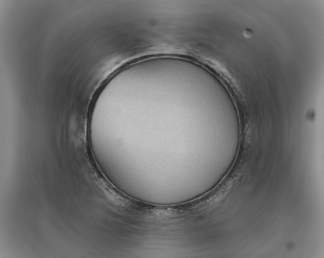 X0000097661220200803142124