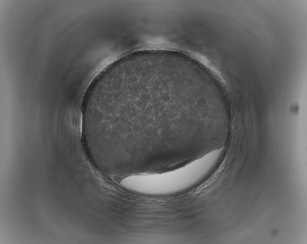 X0000097661221200803142124