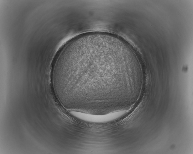 X0000097661222200803142124