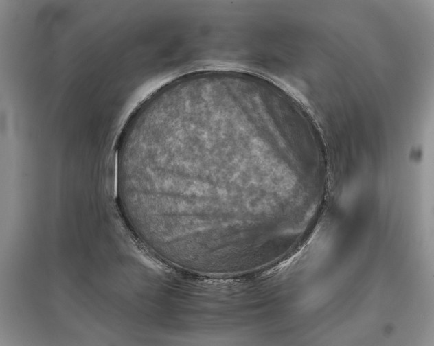 X0000097661223200803142124