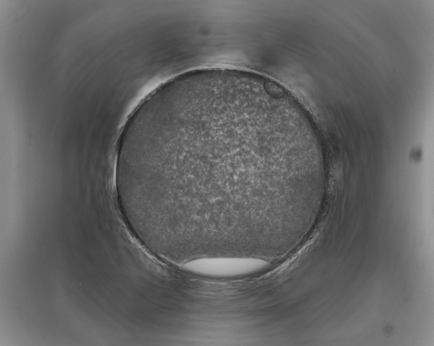 X0000097661224200803142125