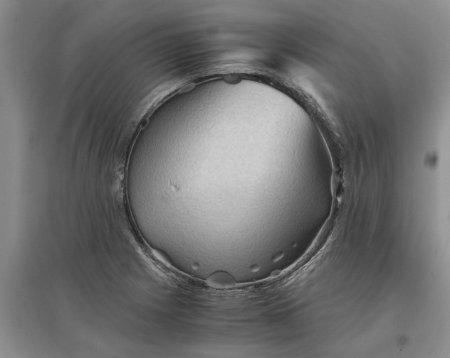 X0000097661225200803142125