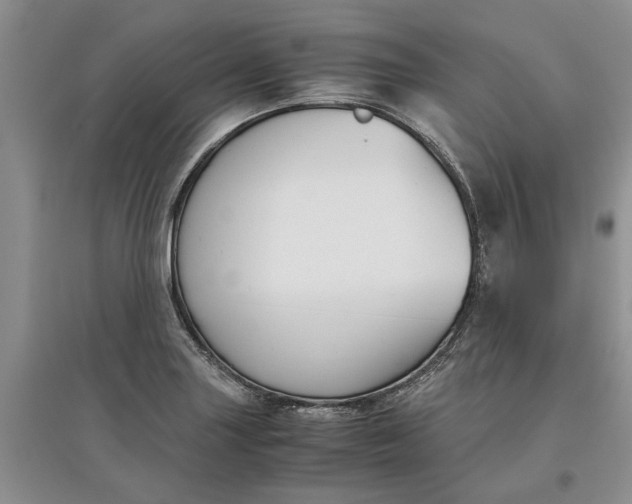 X0000097661227200803142125