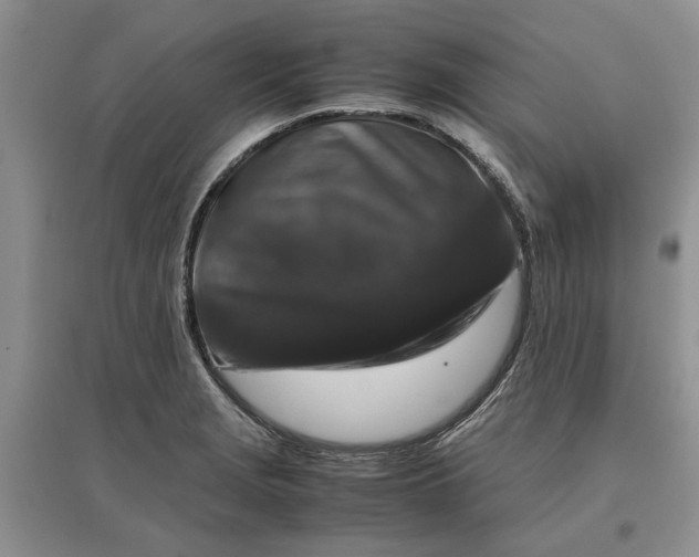 X0000097661229200803142125