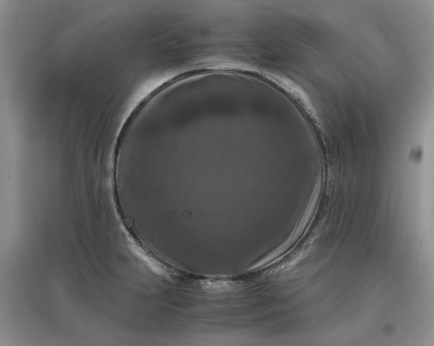 X0000097661231200803142125