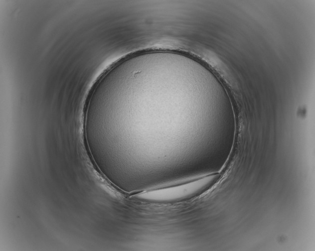 X0000097661232200803142125