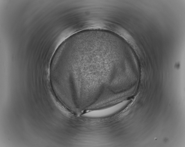 X0000097661234200803142125