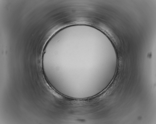 X0000097661236200803142125