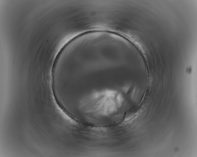 X0000097661239200803142125
