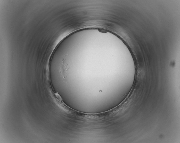 X0000097661242200803142125