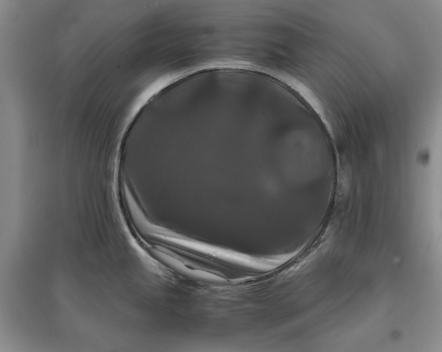 X0000097661245200803142125