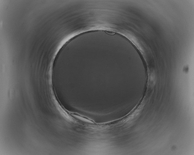 X0000097661246200803142125