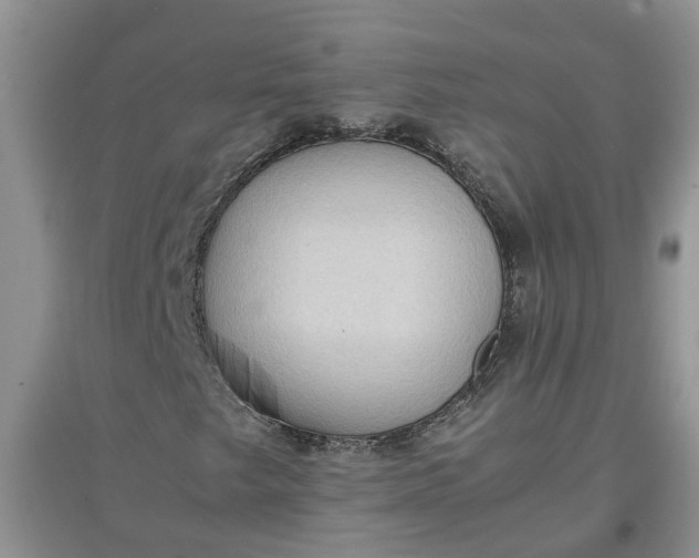 X0000097661249200803142124