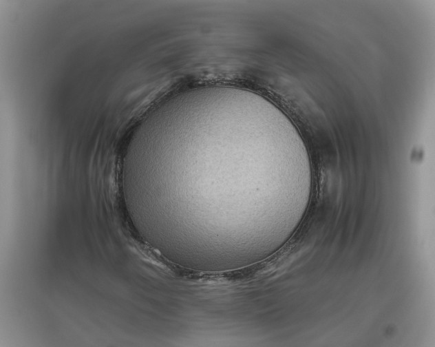 X0000097661250200803142124