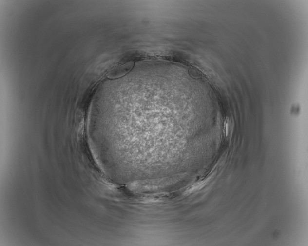 X0000097661251200803142124