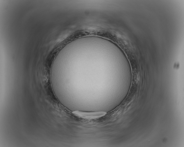 X0000097661253200803142124