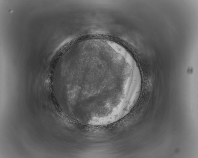 X0000097661254200803142124