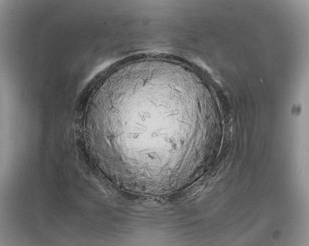 X0000097661255200803142124