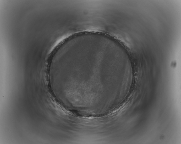 X0000097661256200803142124