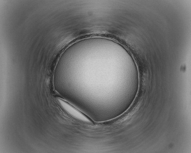X0000097661257200803142124