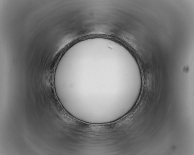 X0000097661258200803142124