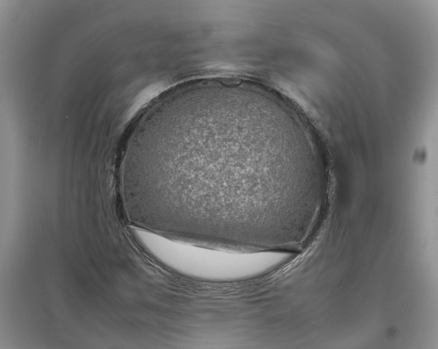 X0000097661259200803142124
