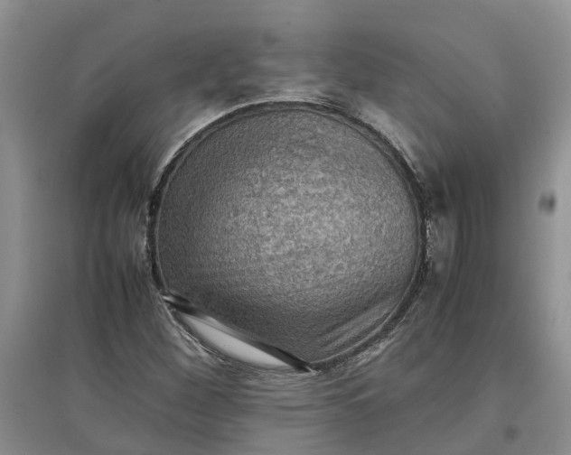 X0000097661260200803142124