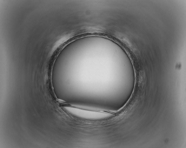 X0000097661261200803142124