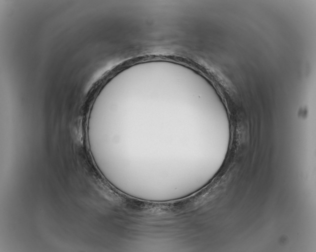 X0000097661262200803142124