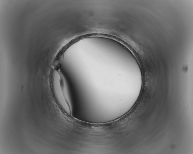 X0000097661264200803142124
