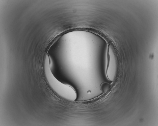 X0000097661265200803142124