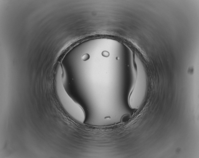 X0000097661266200803142124