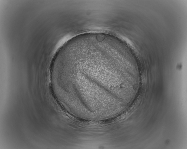 X0000097661267200803142124