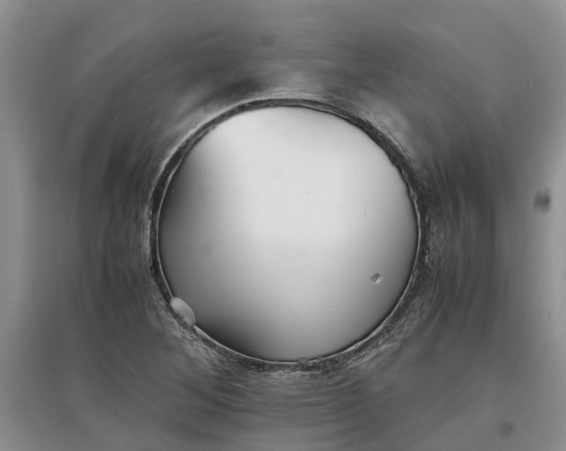 X0000097661268200803142124