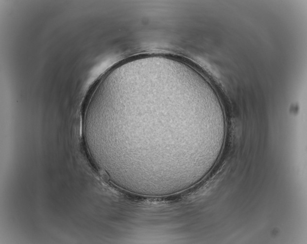 X0000097661269200803142124