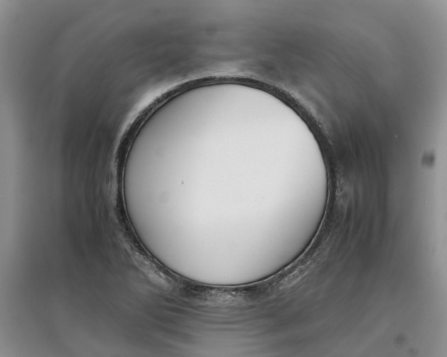 X0000097661270200803142124