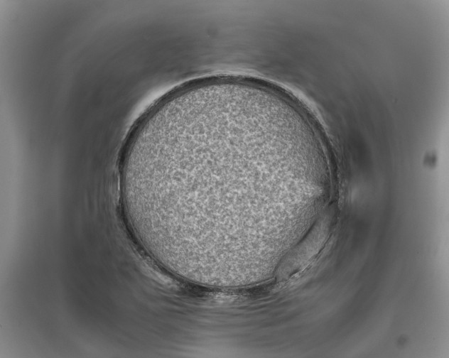 X0000097661271200803142124