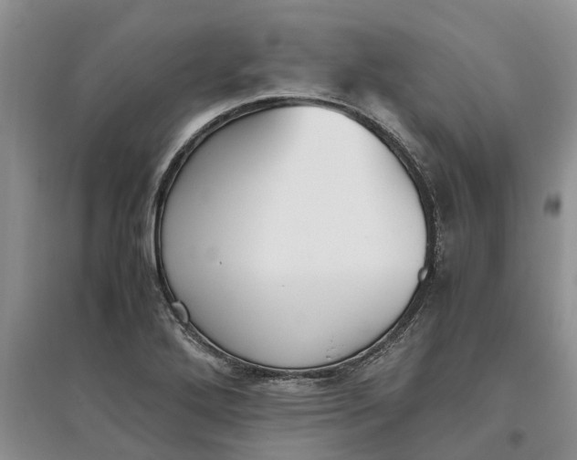 X0000097661272200803142124