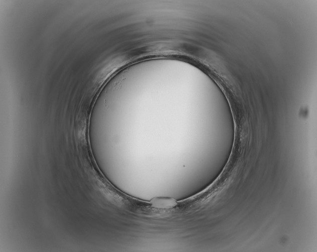 X0000097661273200803142124