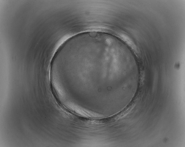 X0000097661275200803142124