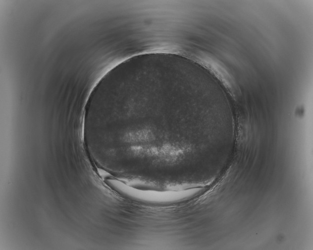 X0000097661276200803142124